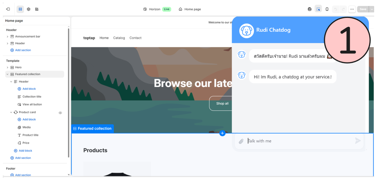 Layout theme.liquid