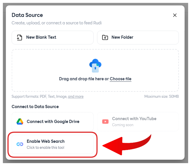 Enable Web Search